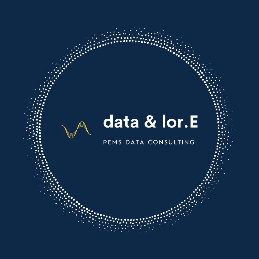 data & lor.E PEMS DATA CONSULTING logo